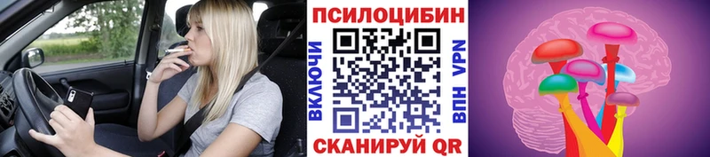 Галлюциногенные грибы прущие грибы  где найти   Долинск 